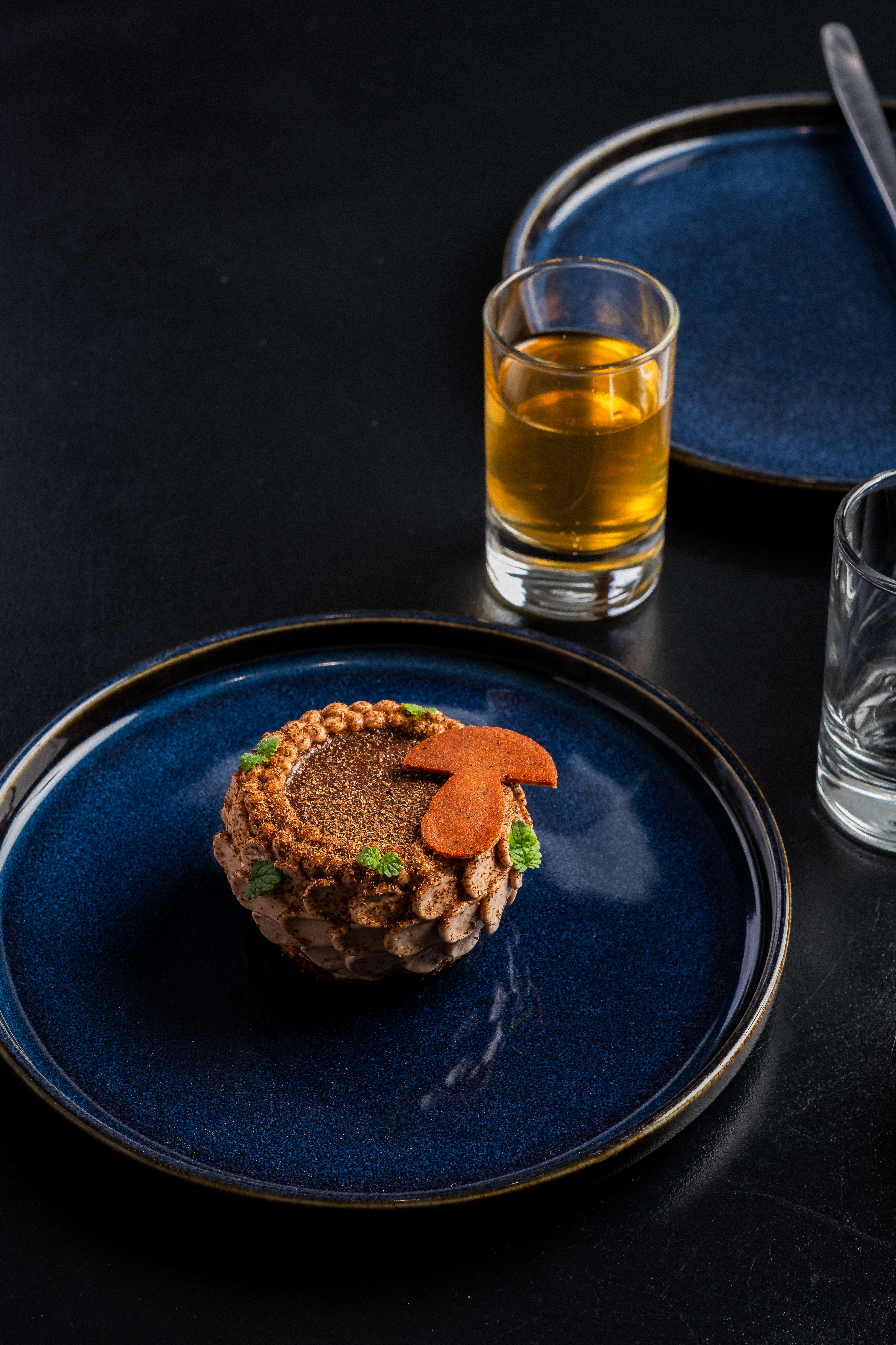 Premier Pas en ForÃªt